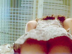 Sexy Upskirt By Chestnut Head At The Money Desk