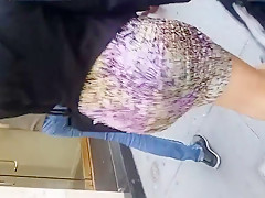 The Aged Darksome Lady Vs. Younger Lalin Girl