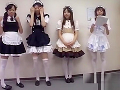 Maid Cute Cute Omnibus 8