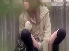 Japanese honey toys wet crack