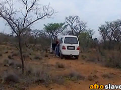 Round gazoo ebon slaves are riding hard