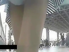 Gorgeous angels wearing mini-skirts